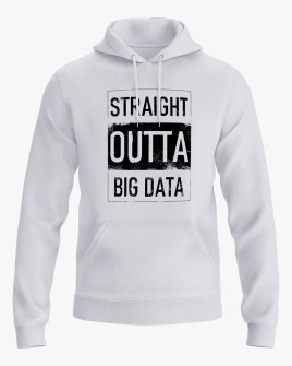 Худі жіночий з надписом Straight outta big data