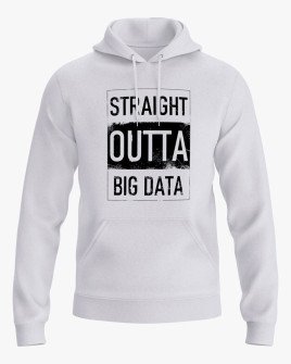 Худі жіночий з надписом Straight outta big data