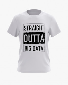 Футболка чоловіча з надписом Straight outta big data