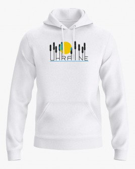 Худі чоловічий з принтом Україна V50